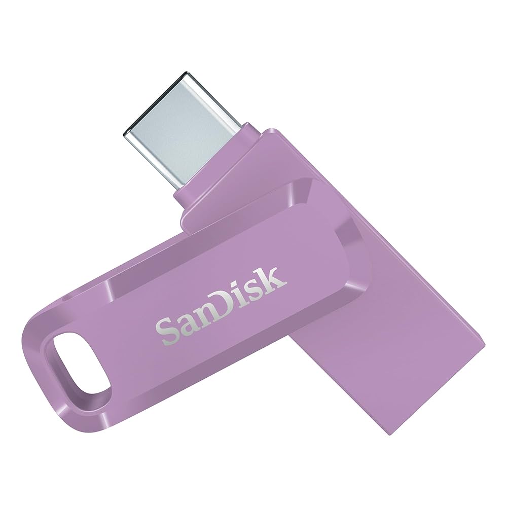 Amazon.com: SanDisk 128GB Ultra Dual Drive Go USB Type-C